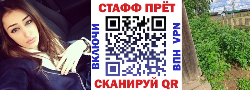 Купить закладку Петропавловск-Камчатский ГАШ  Cocaine  Меф мяу мяу  Каннабис 