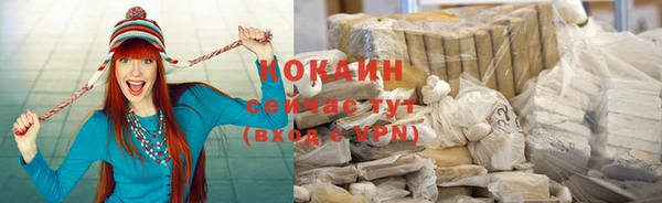 крисы Баксан