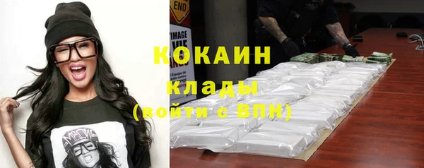 крисы Баксан