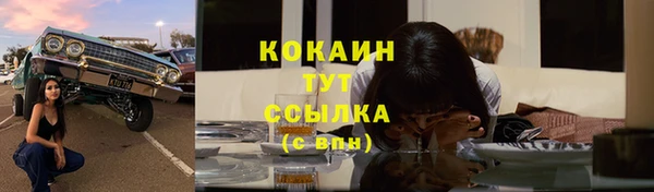 крисы Баксан