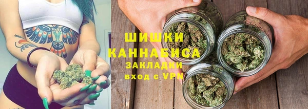 крисы Баксан