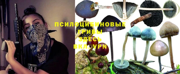 кокс Арсеньев