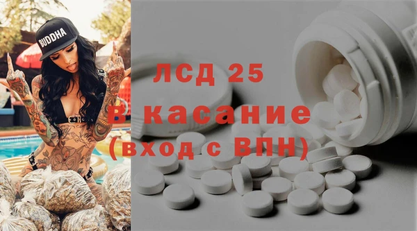 крисы Баксан