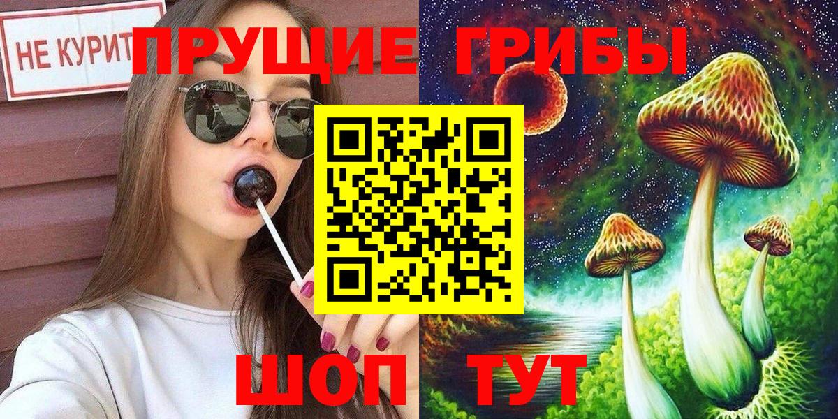 цены наркотик  Псилоцибиновые грибы Magic Shrooms  Вход с VPN  Петропавловск-Камчатский 